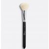 Dior Backstage Blush Brush N°16