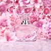 Better Than Roses Mother’s Day Fragrance Set 