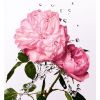 Miss Dior Rose Essence